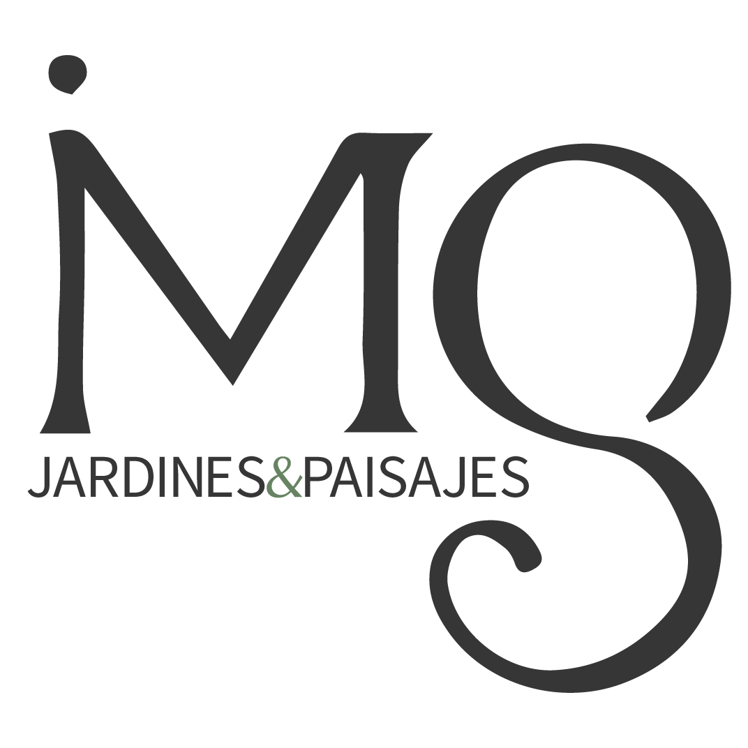 IGNACIO MAUROR